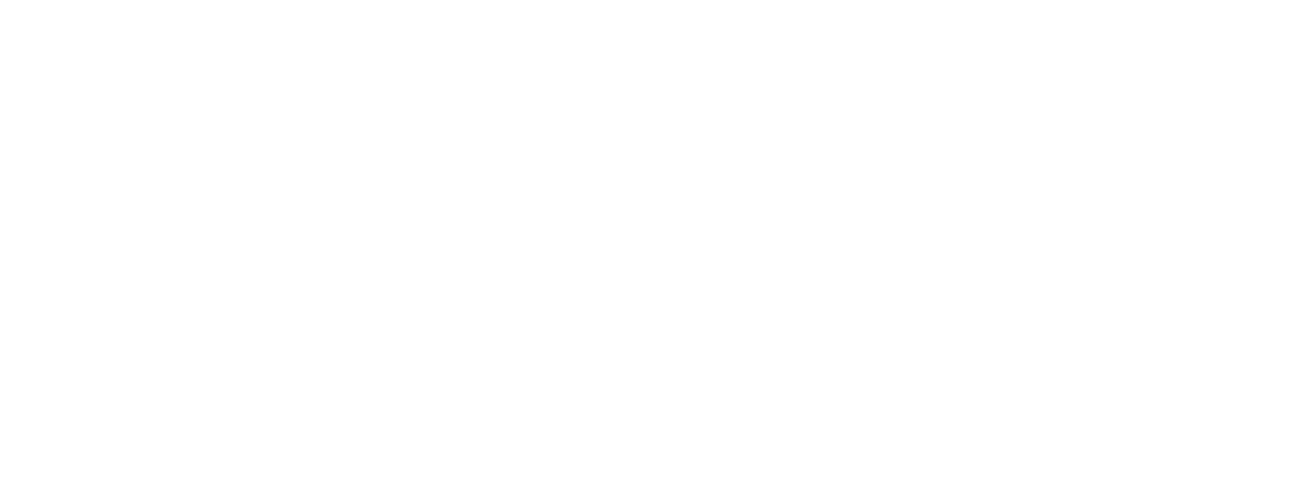 FASTER MINIS